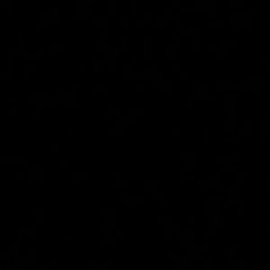 Meet your Posher, Lacey